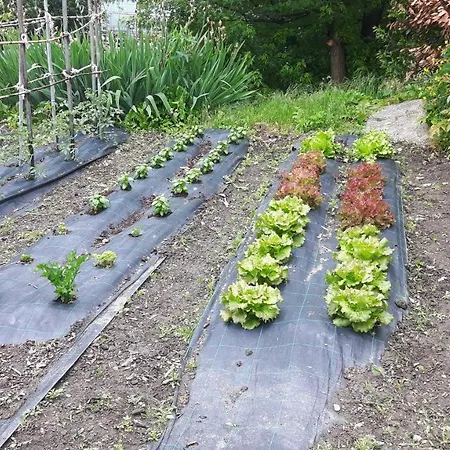 Дом отдыха Germano